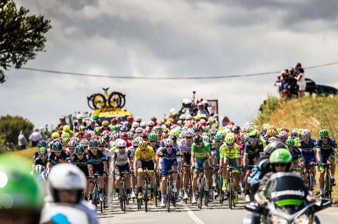 TODAYCYCLING - Le peloton du Tour de France 2016. Photo : ASO/Beardy McBeard