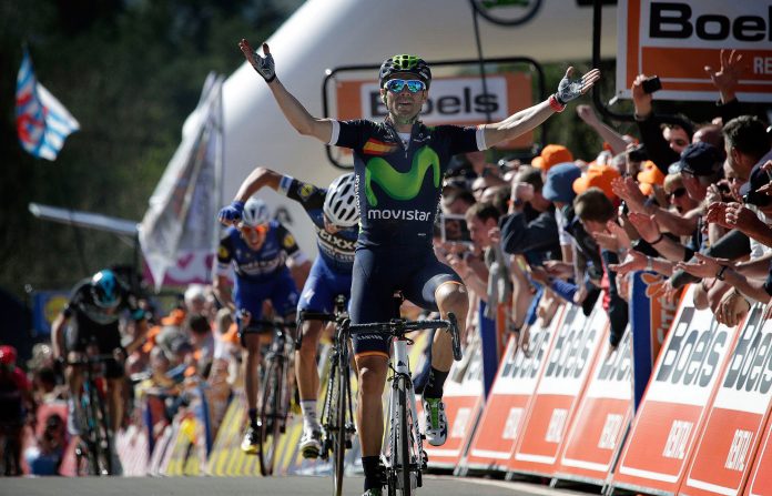TodayCycling - Alejandro Valverde triomphant pour la 4e fois sur la Flèche Wallonne - Photo : Movistar Team