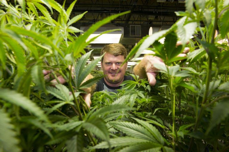 Floyd Landis à la tête d’une nouvelle équipe nord-américaine