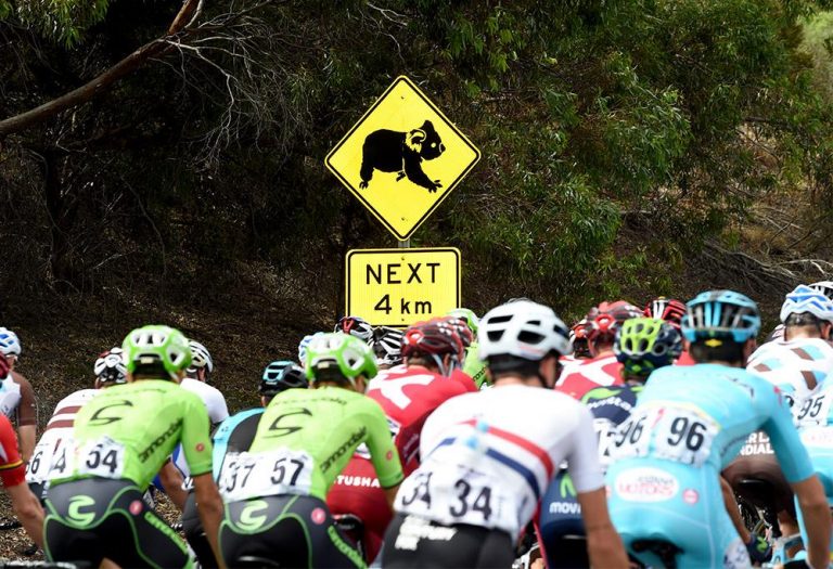 Etape 1 : Vers un sprint massif à Lyndoch