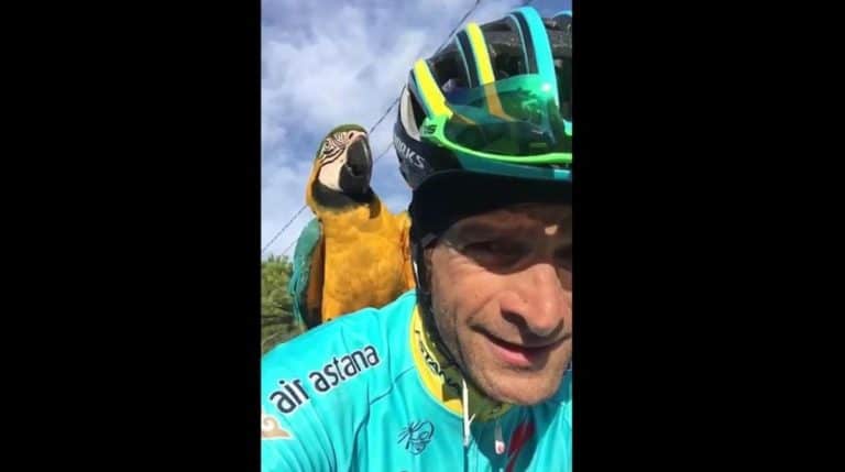 Michele Scarponi s’en est allé, et le perroquet Frankie est resté