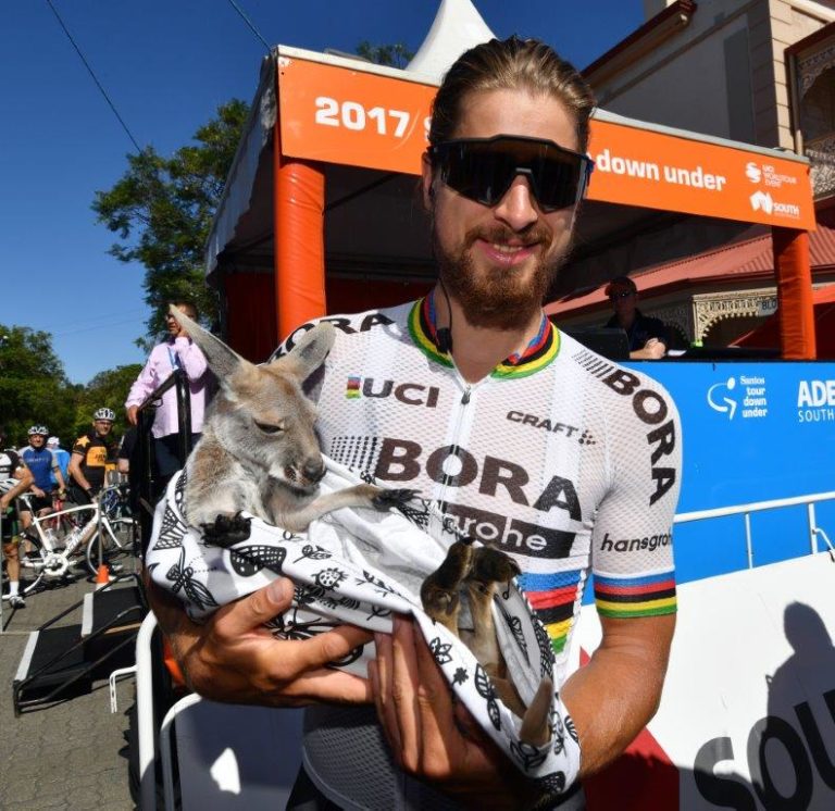 Plus de cyclisme avant le Tour Down Under 2018. Vivement janvier !