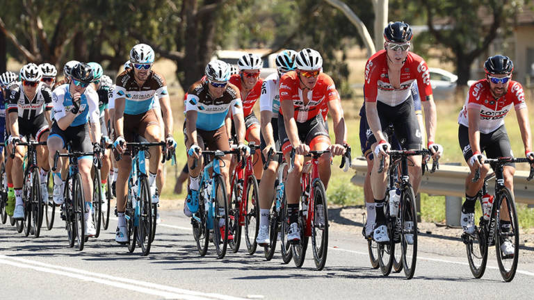 Cadel Evans Great Ocean Road Race 2019 – Les coureurs français au départ