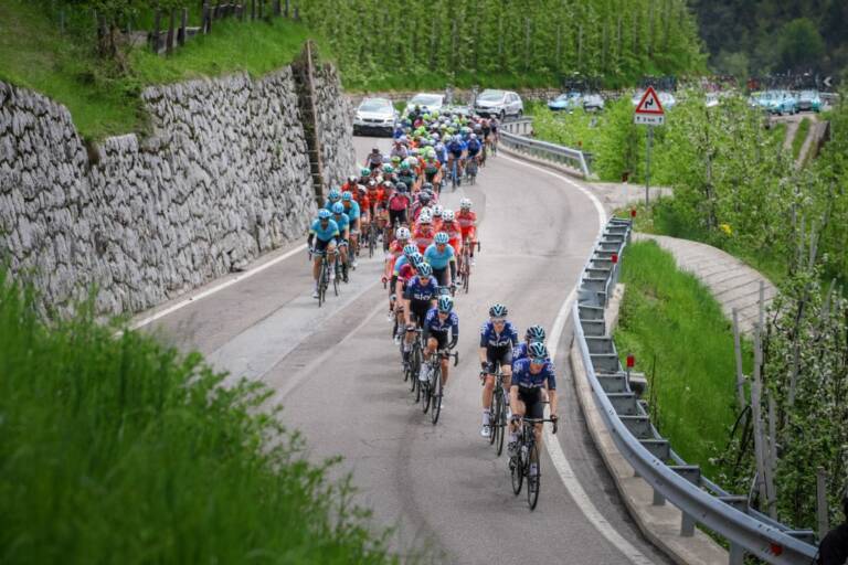 Comment suivre le Tour des Alpes 2021 en direct ?