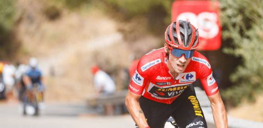 Vuelta 2021 : La réaction de Primoz Roglic après sa chute