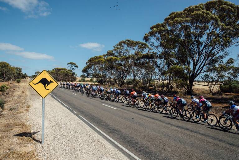 Le Tour Down Under de nouveau annulé en janvier 2022