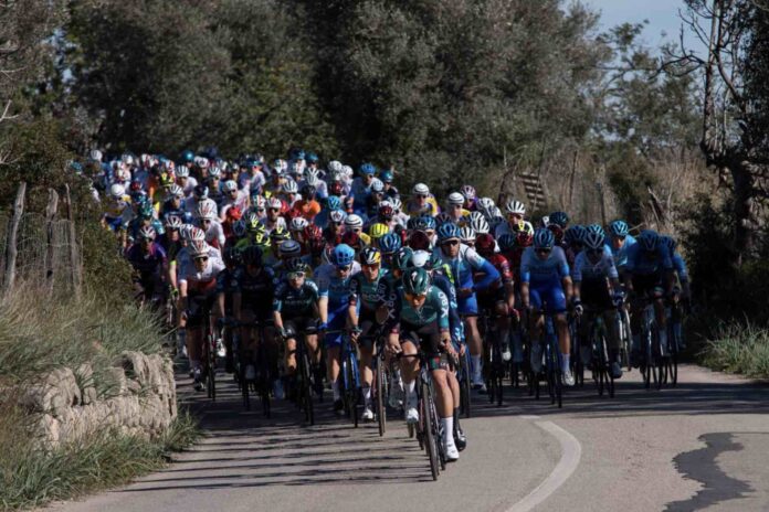 La liste des coureurs engagés sur le Trofeo Pollença - Port d'Andratx