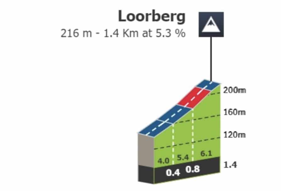 Profil Loorberg