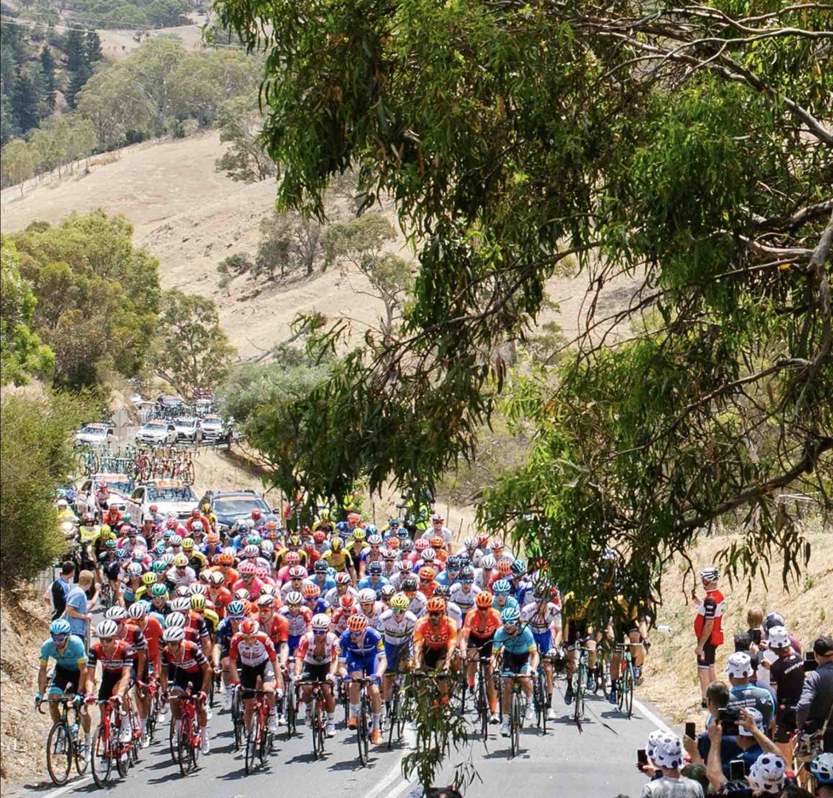 tour down under bike competition