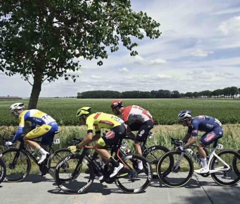 Championnats nationaux