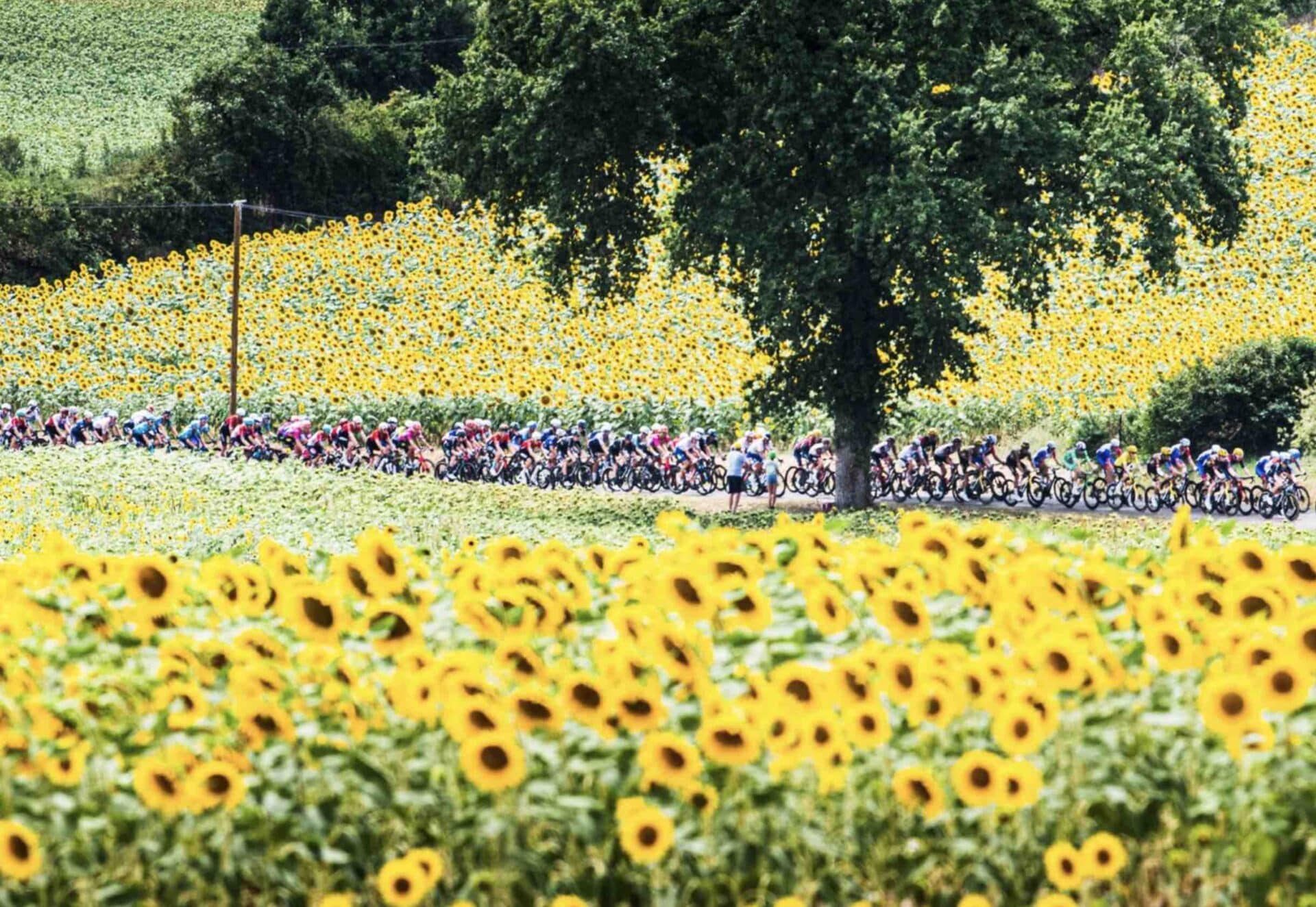 Tour de France 2023 Comment regarder le direct à la TV