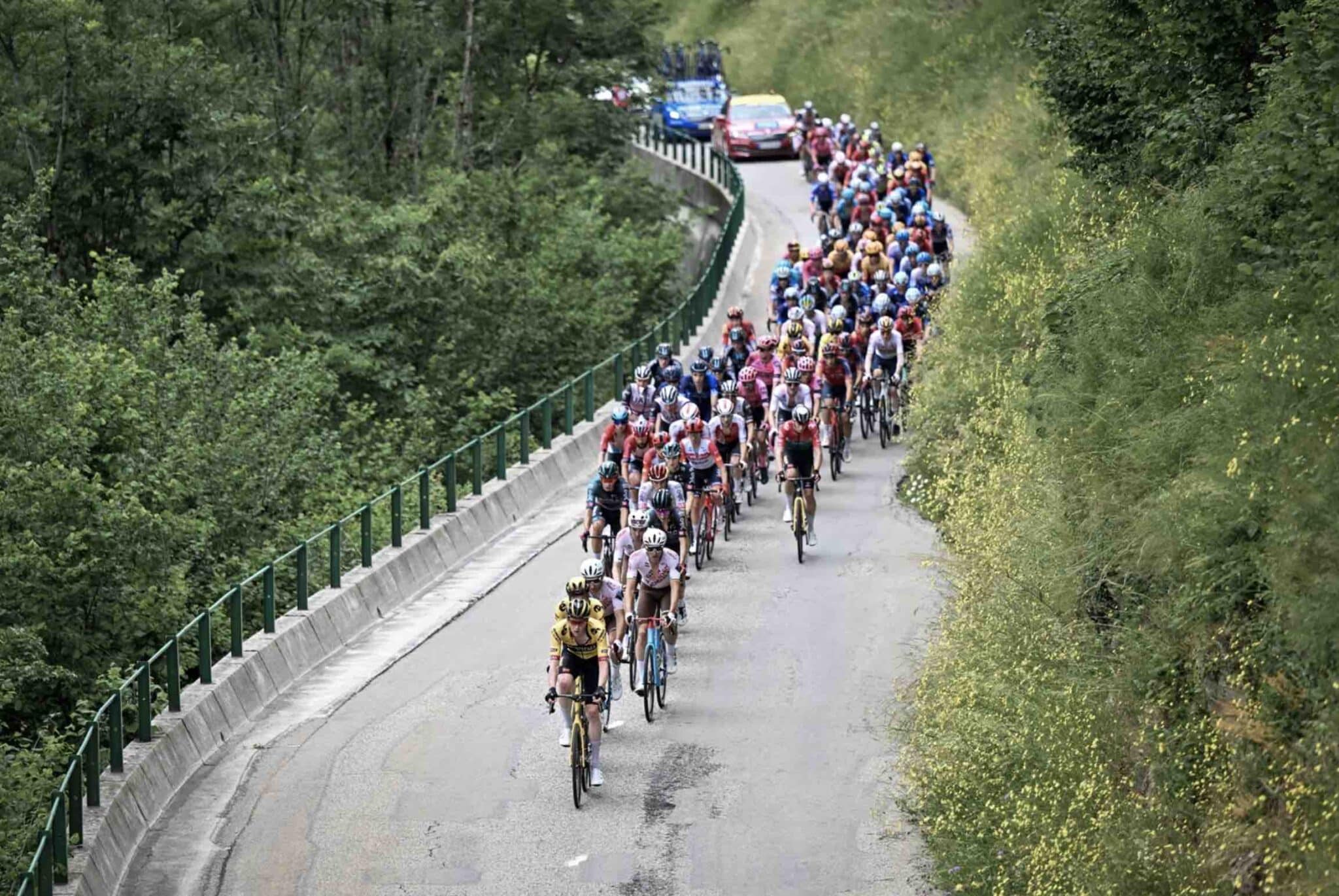 Athlétisme : Tous les records du monde sur piste, route, marathon, concours et épreuves combinées