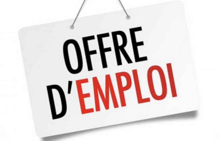 Offre d’emploi Rédacteur Web télétravail freelance