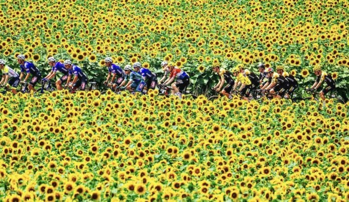 Tour de France qui va remporter l'édition 2024