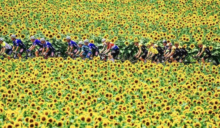 Tour de France. Qui va remporter l’édition 2024 ?