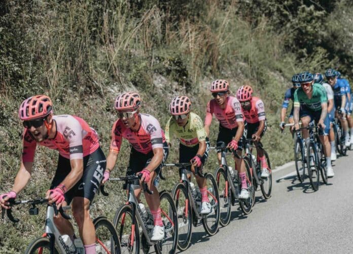 Tour de l'Ain 2024 les 14 équipes engagées