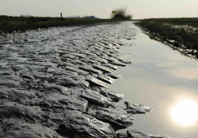 Paris Roubaix 2025 course cycliste UCI WorldTour