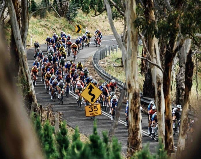 Tour Down Under 2025 la liste provisoire des engagés dévoilée