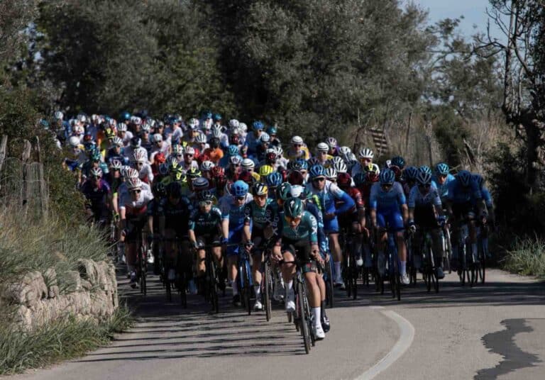 Trofeo Calvia 2025 : Les engagés