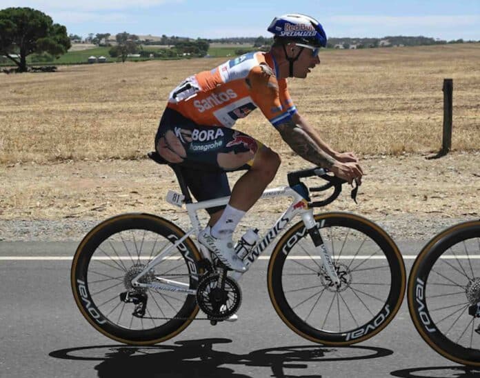 vidéo Sam Welsford victoire héroïque malgré une chute au Tour Down Under