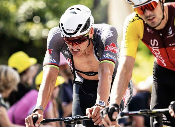 merci monsieur van der poel