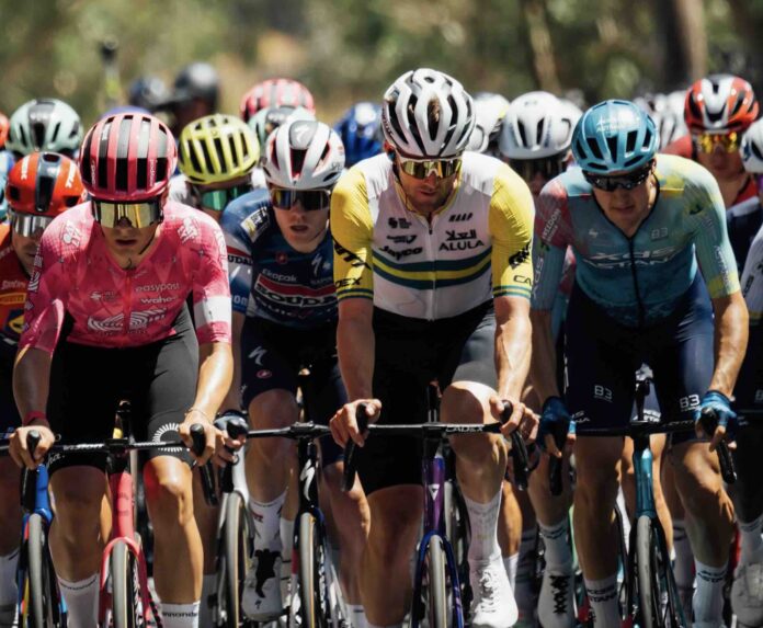 Tour Down Under 2026 le duel au sommet qui va électriser l'été austral