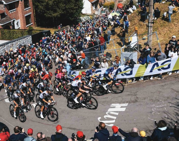 Flèche Wallonne 2026 sondage pronostic