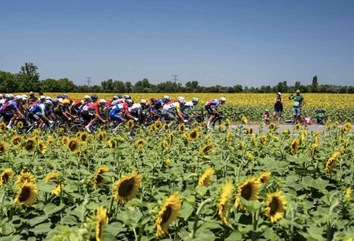 Tour de France 2026 parcours favoris étapes tour qu'il faut savoir à J-13
